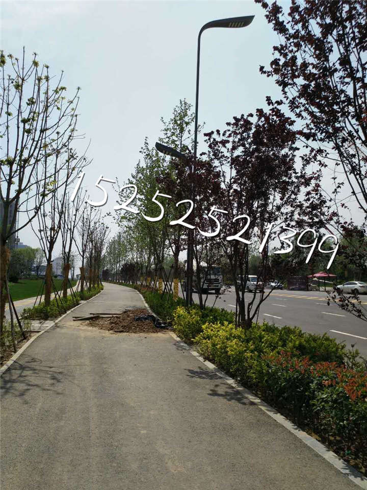 山西大同广灵县老城区路灯改造案例